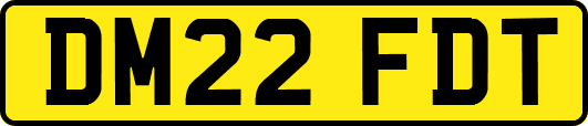DM22FDT