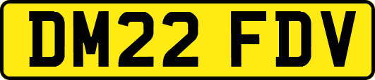 DM22FDV
