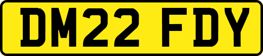 DM22FDY