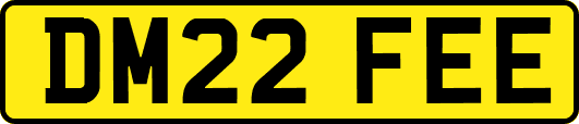 DM22FEE