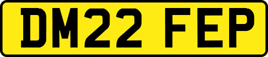 DM22FEP