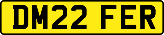 DM22FER