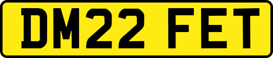 DM22FET