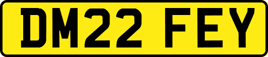 DM22FEY