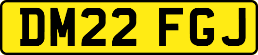 DM22FGJ
