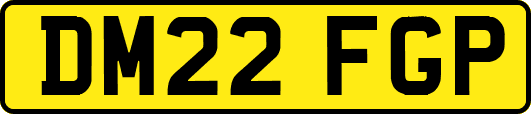 DM22FGP