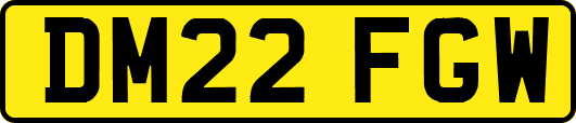 DM22FGW