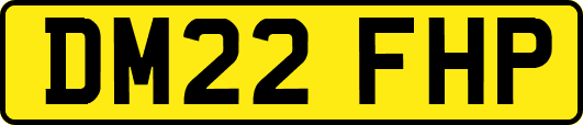DM22FHP