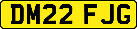 DM22FJG