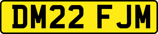 DM22FJM