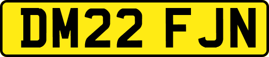 DM22FJN