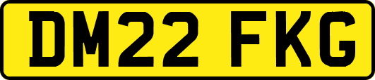 DM22FKG