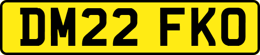 DM22FKO