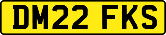 DM22FKS