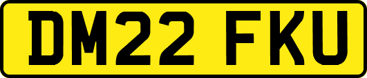 DM22FKU
