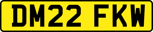DM22FKW