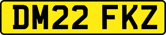 DM22FKZ