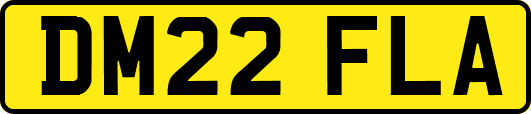 DM22FLA