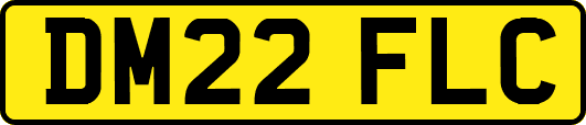 DM22FLC