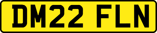 DM22FLN