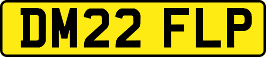 DM22FLP