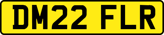 DM22FLR