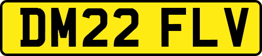DM22FLV