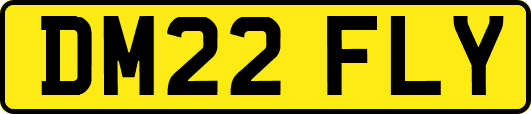 DM22FLY