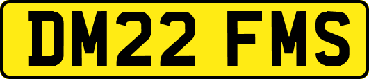 DM22FMS