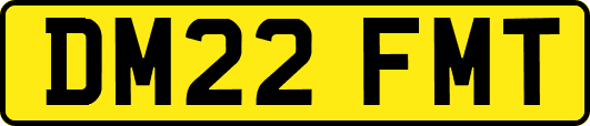 DM22FMT