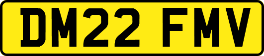 DM22FMV