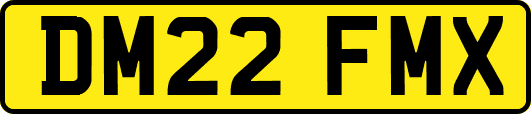 DM22FMX