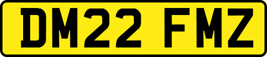 DM22FMZ