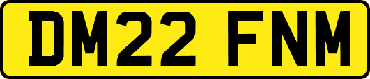 DM22FNM