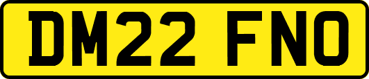 DM22FNO