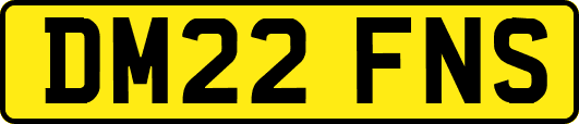 DM22FNS