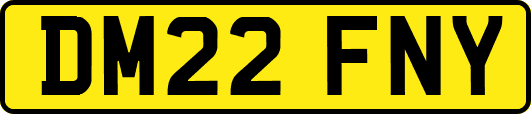 DM22FNY