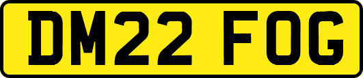 DM22FOG