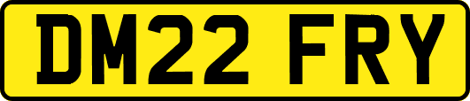 DM22FRY