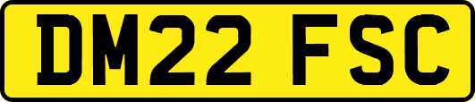 DM22FSC