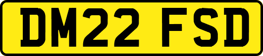 DM22FSD