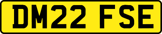 DM22FSE