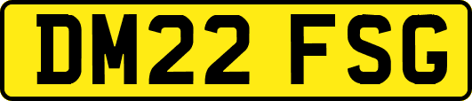 DM22FSG