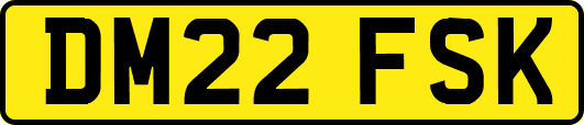 DM22FSK