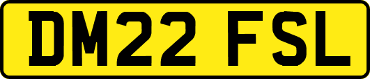 DM22FSL