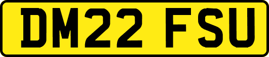 DM22FSU