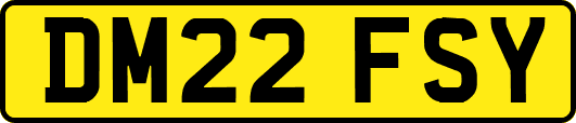 DM22FSY