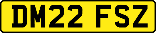 DM22FSZ