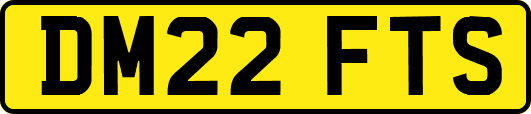 DM22FTS