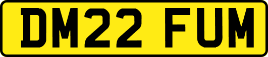 DM22FUM